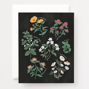 Juego de 8 tarjetas de notas de jardín de té: conjunto ilustrado de tarjetas de papelería de jardín de té de hierbas, tarjetas de notas en blanco plegadas