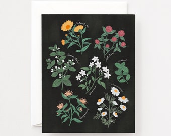 Set of 8 Tea Garden Notecard Set : Illustrated Herbal Tea Garden Stationery Cards Set, Folded Blank Note Cards