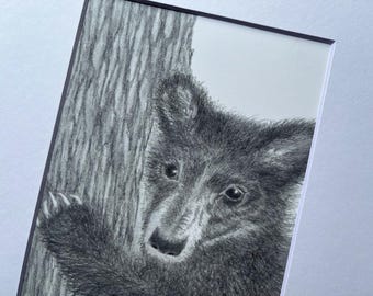 Black Bear Cub, print of graphite drawing, wildlife art, bear lover gift