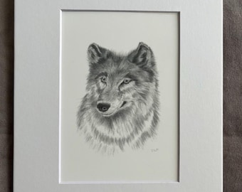 Gray Wolf, print of graphite drawing, wildlife art, gift for wolf lover