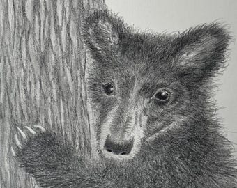 Original drawing, black bear cub, wildlife drawing