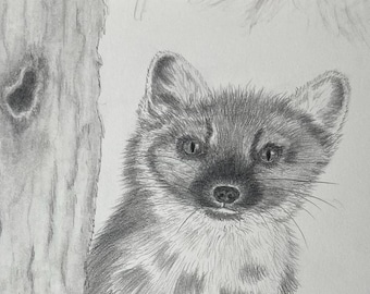 Original drawing, American pine marten, wildlife drawing