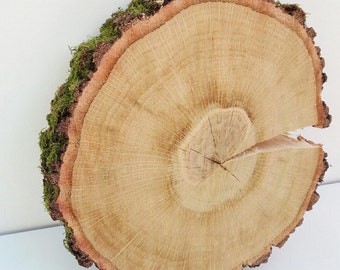 Wood Slice