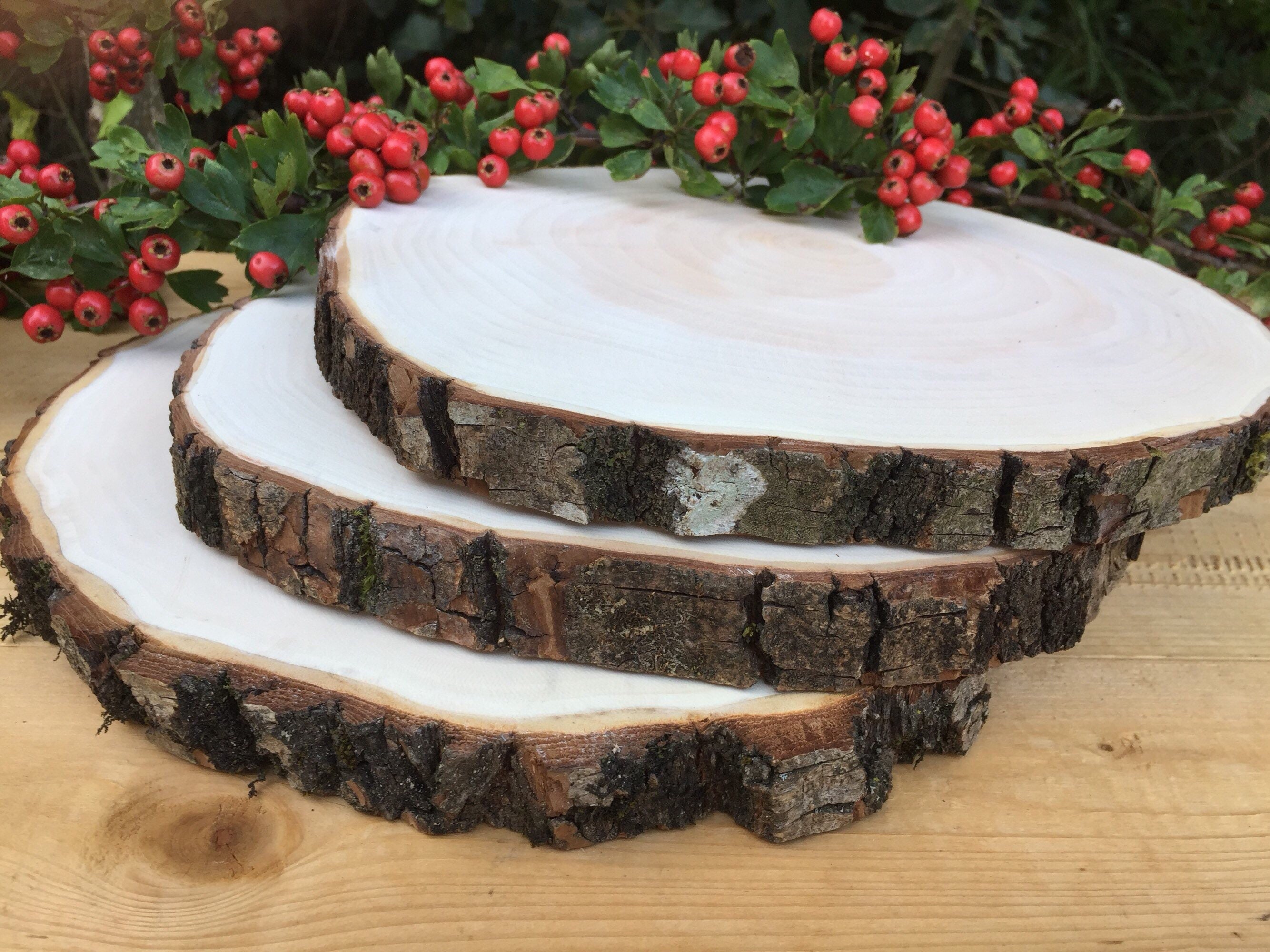 Set of 20 9 inch tree slices wood bark wood rounds 10 inch Etsy