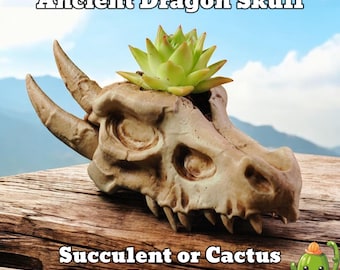 Maceta con forma de calavera de dragón / Maceta fantástica para suculentas / Soporte para plantas con diseño de dragón gótico y criatura mítica