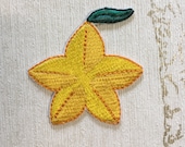 Kingdom Hearts Paopu Fruit embroidered iron on patch.