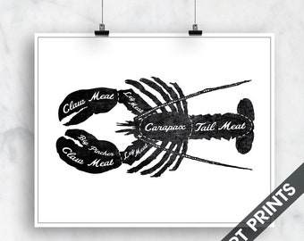 Lobster (Butcher Diagram Series) - Art Print (Featured in Vintage Chalkboard and White) Kitchen Wall Art Copy