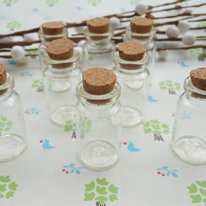 20 PCS 22x 40mm Mini glass bottles with corks