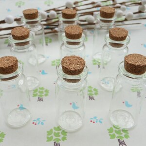 20 PCS 22mmx50mm Mini glass bottles with corks