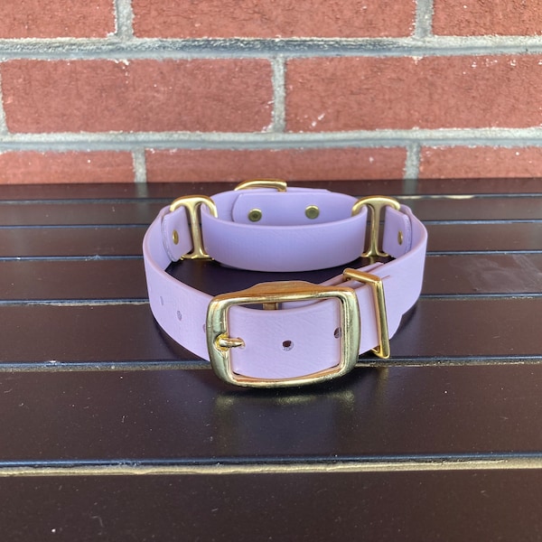 Lavender & Gold Biothane Martingale Dog Collar (Weatherproof dog dollars, waterproof dog collar, fashion collar, sighthound collar)