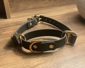 SALE! Premade Biothane Martingale Collar, Size Small, 1” width, 10-13” Necks, SHIPS ASAP