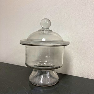 vintage laboratory glass dessicator terrarium