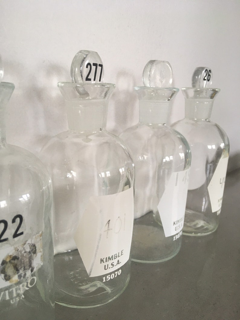 Laboratory Glass Bottles Ground Glass Stoppers Chemistry Lab Etsy