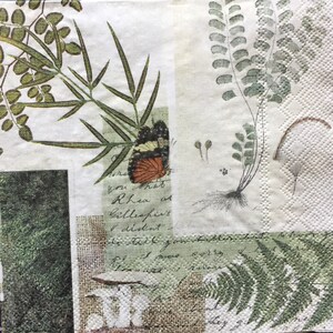 Può includere: Tovagliolo di carta decorativo con illustrazioni botaniche. Presenta una farfalla, felci e altre piante in tonalità di verde, marrone e bianco. Include scritte a mano e uno sfondo strutturato.