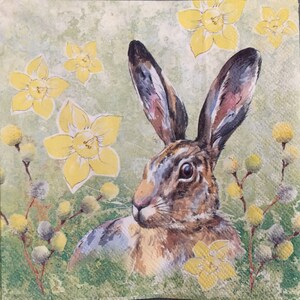 May include: A brown and white rabbit with large ears is surrounded by yellow daffodils and green foliage. The rabbit is looking to the left of the image.