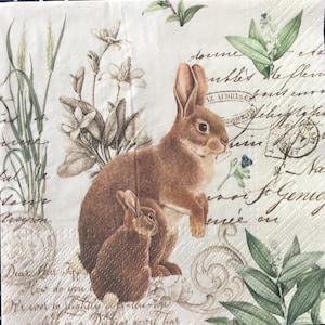 以下が含まれることがあります： クリーム色の背景に、緑の葉と花が描かれた、ヴィンテージスタイルのイラスト。2羽の茶色のウサギが座っています。背景には黒いインクで手書きの文字があります。