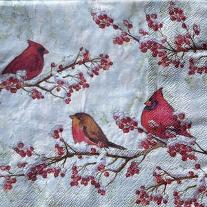 May include: A square paper napkin featuring a winter scene with two bright red cardinal birds and one brown robin perched on snow-covered branches. The branches are laden with clusters of small red berries against a pale, textured white background.