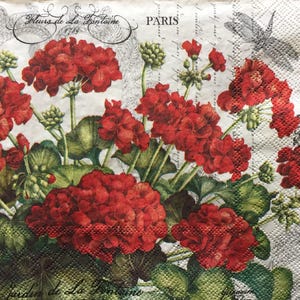 Serviettes en papier - éphémères pour découpage de loisirs, scrapbooking, fabrication de cartes et travaux manuels - lot de 4