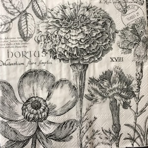 Papierservietten - 4er-Set - MICHEL DESIGN WORKS - Ephemera für Decoupage, Scrapbooking, Kartengestaltung, Collage