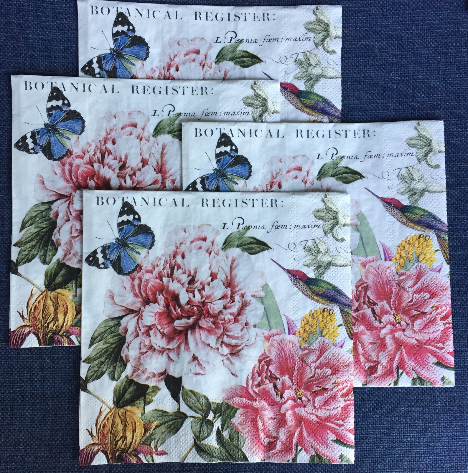 Paper Napkins Set of 4 MICHEL DESIGN WORKS Ephemera for Etsy