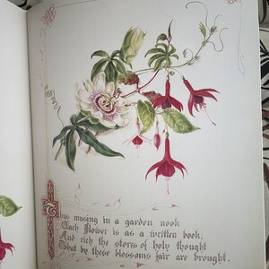 The Country Flowers Of A Victorian Lady By FANNY ROBINSON - Foto 9