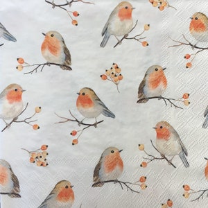 Serviettes en papier - lot de 4 - éphémères pour découpage de loisirs, fabrication de cartes, collage, création d'art et d'artisanat