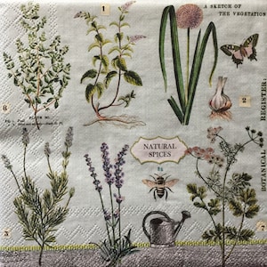 Servilletas Decoupage- conjunto de 4 - servilletas de papel de almuerzo para Decoupage - Ephemera