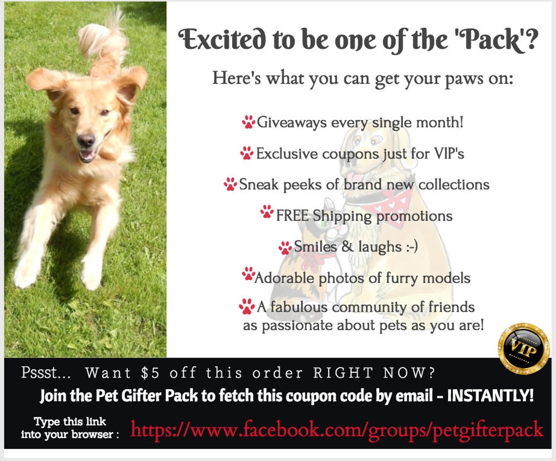 Hund Kragen Pow Boom Bang Superhelden Welpen Film Etsy