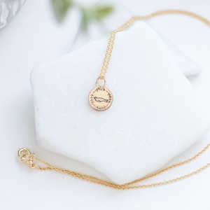 Gold Seal Necklace for Mom Gift Idea for christmas Gift Seal Jewelry, Seal Nursery Decor, Baby Seal Gift for Animal Lover Gold Jewelry