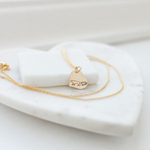 Mom jewelry Lioness Necklace - Silver Lion Jewelry - Gift for Mom Necklace - Mom Gift for Christmas gift Mama Lion