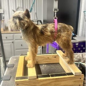 Dog Stacking Box - Adjustable Posture Training Aid