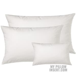 May include: Three white pillow inserts of different sizes. The largest pillow is at the back, the medium-sized pillow is in the middle, and the smallest pillow is at the front. The pillows are all made of a soft, white fabric.
