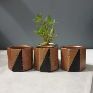 May include: Three copper-coloured, geometric planters with a black triangle design. Each planter holds soil and a small succulent plant. The planters are arranged in a row on a white surface.