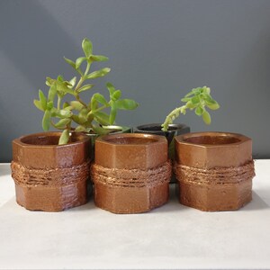 May include: Three copper-coloured, hexagonal planters with a textured, woven band around the middle. The planters hold small green succulents. The background is a neutral grey.