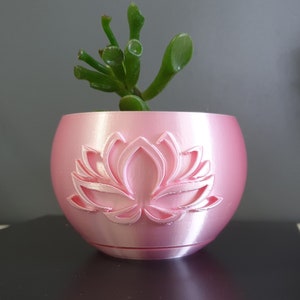 May include: A pink, spherical plant pot featuring a raised lotus flower design, containing a green succulent plant. The pot has a glossy finish and is placed on a dark surface. The succulent has thick, green leaves. The overall style is modern and minimalist.