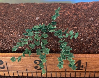 Dollhouse Miniature Ivy in a Hanging Basket 1:12 Scale