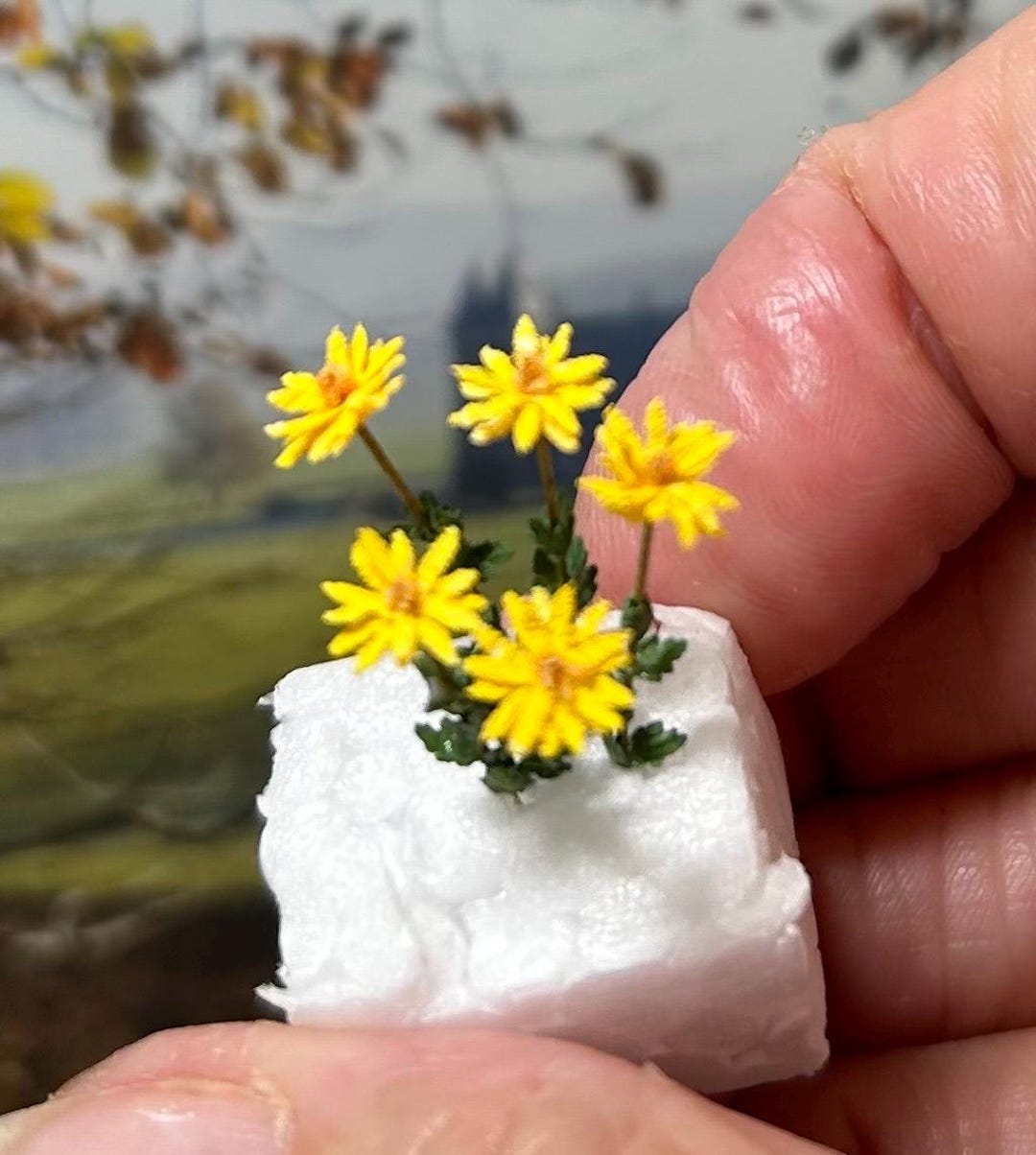 Daisy Plant 1:24 Scale - Etsy