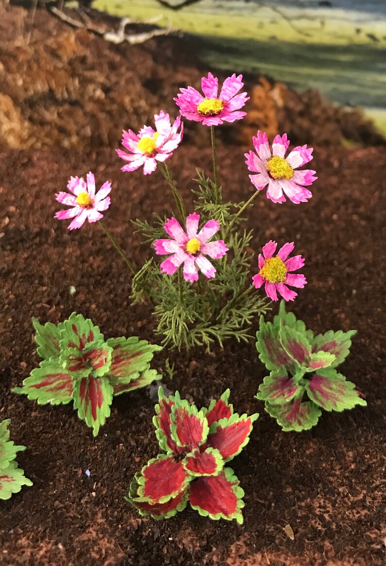 Coleus Plants Miniature 1:12 Scale - Etsy Denmark