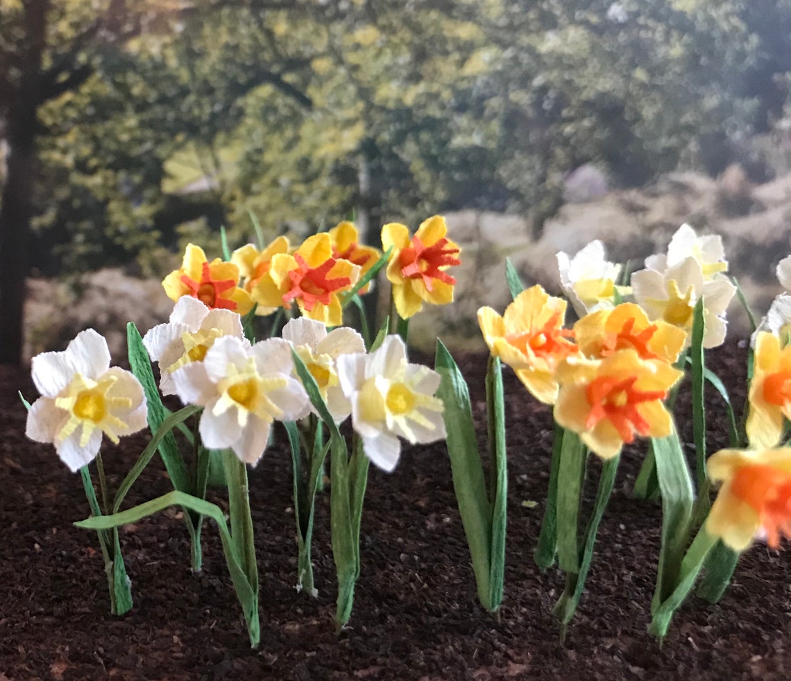Daffodils Miniature 1:12 Scale - Etsy