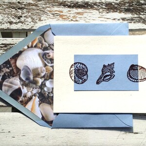 May include: A blue envelope with a seashell design on the front. The envelope is open and a white card is inside. The card has a blue border and a row of four brown seashells printed on it.