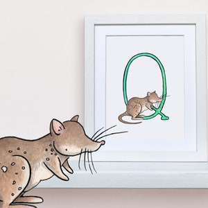 Letra Q Alfabeto Vivero Arte Ilustración, Q es para QUOLL Animal Wall Art, Unusual Animals Monogram, 8x10" UNFRAMED Nursery Decor Print