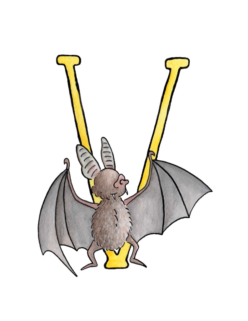 V is for Vampire Bat. Alphabet Nursery Art 8x10 mounted wall decor print. New baby gift. Name illustration image 2