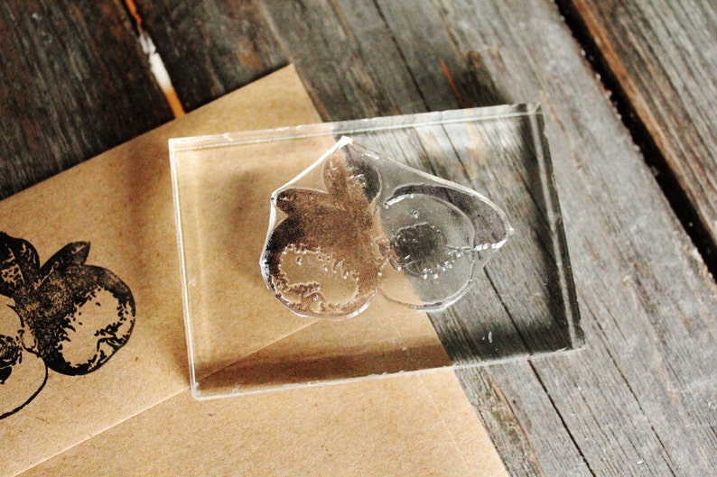 Peach Stamp Just Under 2 x 3 Inches Southern Etsy