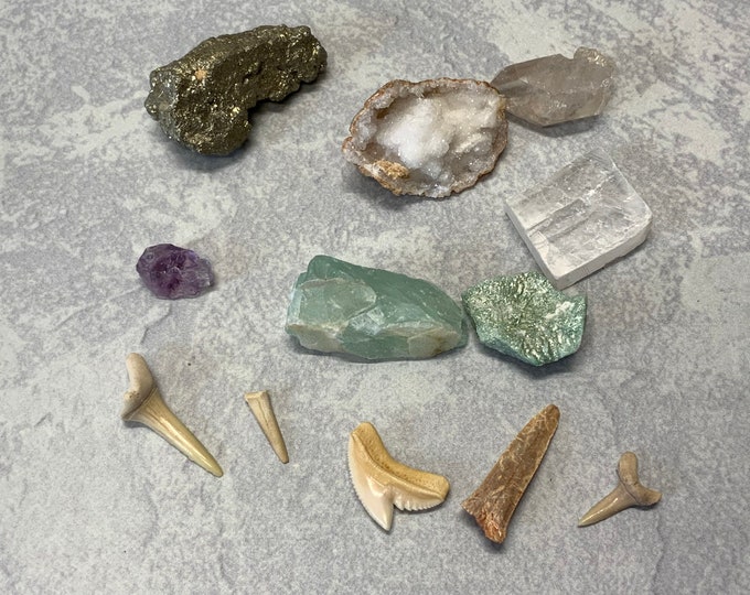 Assortment of Crystals Rocks Shark Teeth and Fossils - Etsy