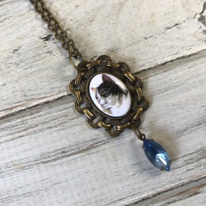 Chubby small brown tabby cat cameo pendant necklace with blue glass rhinestone dangle in antique brass