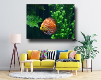 Orange Yellow Discus Fish in Green Tropical Tank, Colorful Photo to Brighten Any Room, Fish Tank Lover Fish Print, Choose your Print size