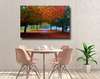 Dreamy Fall Trees Photo Print, Vivid Fiery Autumn Wall Art, Fall Decor, Red Blanket of Leaves, Fall Foliage Wall Art, 16 x 24 photo print