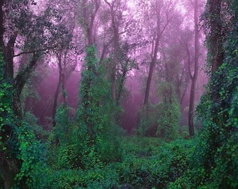 Magical Purple Forest Art, Purple Fairy Forest, Green Whimsical Trees, Forest trees art, High resolution Vivid Color art, Instant Download