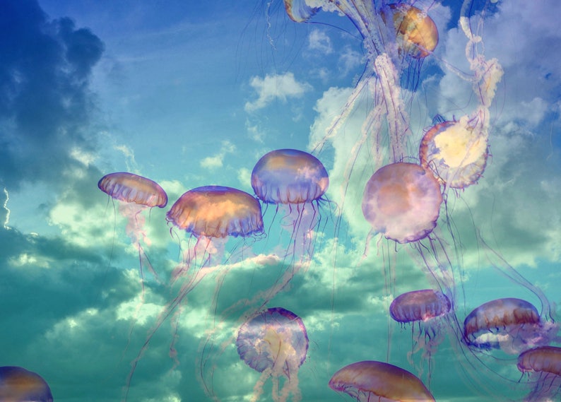 Pastel Jellyfish in Clouds Photography Large Fish Wall Art Etsy