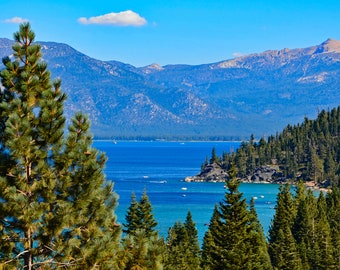 Lake Tahoe Meeks Bay Color Photo - Emerald and Blue Waters - Large Wall Art, Sierra Mountains, Fir Trees - Home Decor Photo - 9 x 12 Print